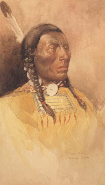 Percy Gray Medicine Crow (mk42) oil painting image